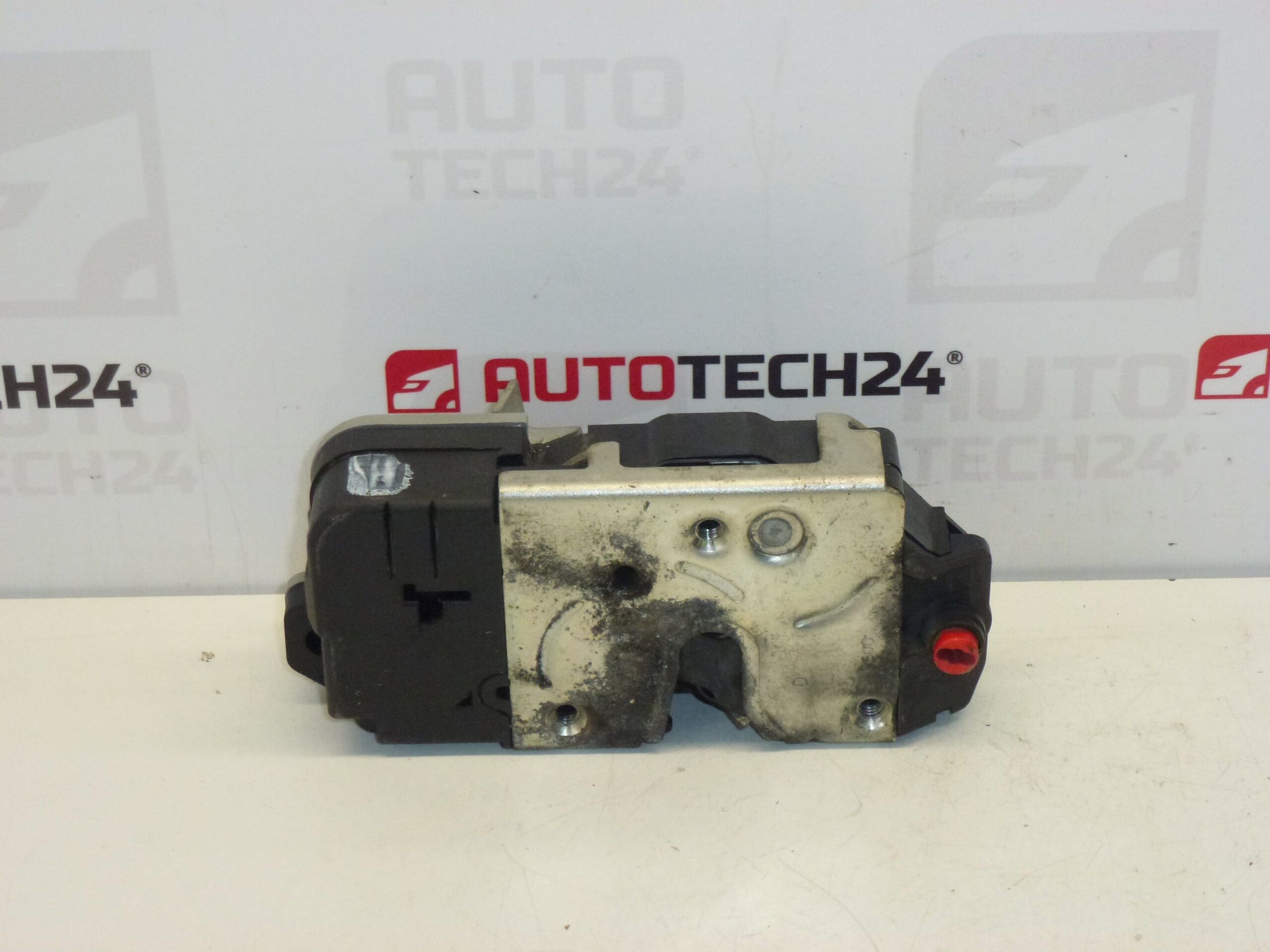 Брава задна дясна врата Peugeot 206 206+ 9138J0