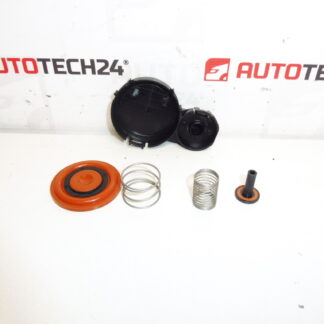 Комплект диафрагма на капака на клапаните 1.6 HDI 0248S0