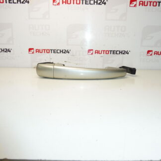 Дръжка за врата Citroën Peugeot ETSC 9101GH