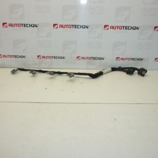 Инжекторен сноп DELPHI Citroën Peugeot 2.0 HDI 9662908580 6569Y5