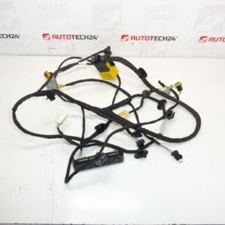 Citroen C4 Picasso Valeo 5243596 седалка на водача