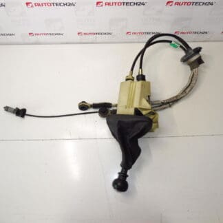 Фонът и изместването на 6 скорости Citroën Peugeot 2400p7 2444x8 241059