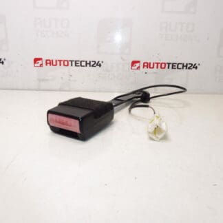 Притежател на пътнически паспорт Peugeot 407 8973pv