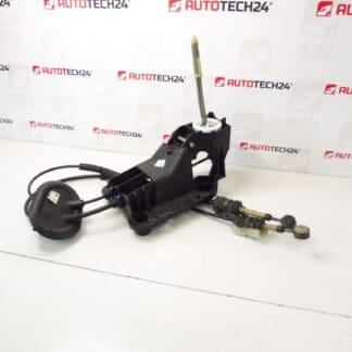 Peugeot 207 9685232980 2400JZ LEVER LEVER