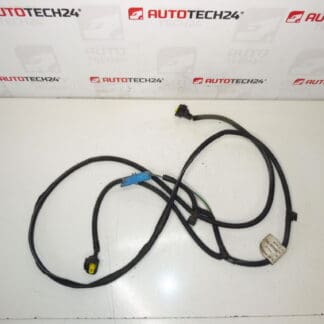 Puug Shorts Peugeot 407 9654469680 6567HW