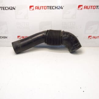 Citroën Peugeot 9684813780 9812189880