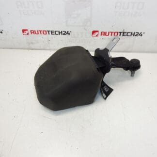 Заден колан Citroen C3 II A51 DS3 98019948XX
