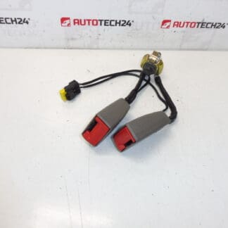 Ключалка за предпазен колан Citroën C5 II 8974W8